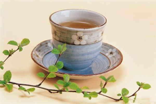 幸运咖掀起茶饮加盟市场新一轮养生茶热潮！